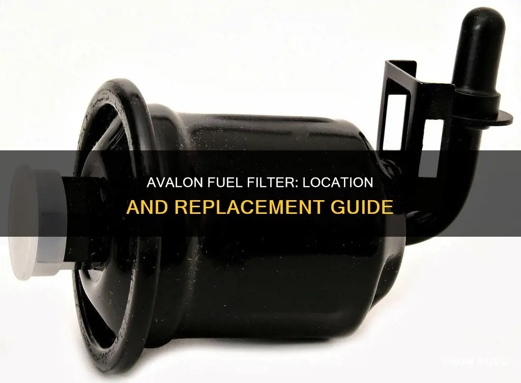 where is fuel filter for 2005 avalon