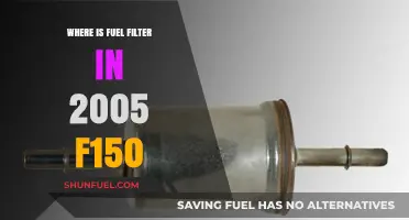 Locating the Fuel Filter in a 2005 F150 Truck
