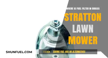 Locate the Fuel Filter in Your Briggs Stratton Lawn Mower