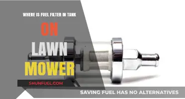 Locate the Fuel Filter in Your Lawn Mower's Tank