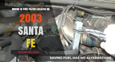 Santa Fe 2003: Locating the Fuel Filter