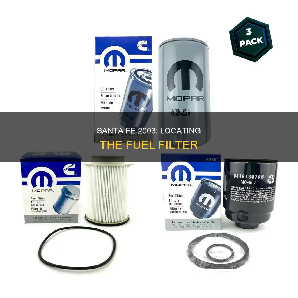 where is fuel filter located on 2003 santa fe
