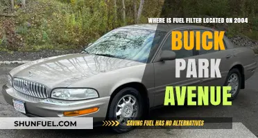 Buick Park Avenue: Fuel Filter Location and Access