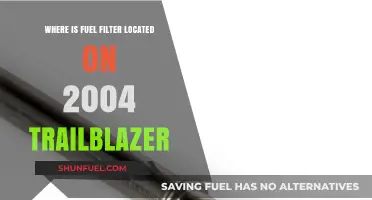 Locating the Fuel Filter on a 2004 Trailblazer