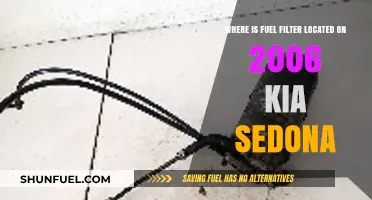 Kia Sedona 2006: Fuel Filter Location and Access