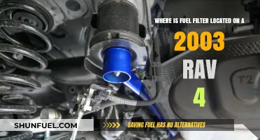 Fuel Filter Location in a 2003 Rav 4