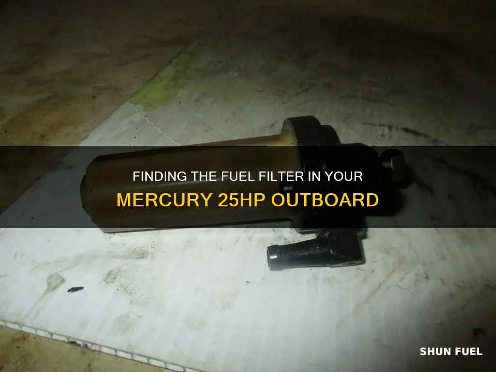 where is fuel filter mercury 25hp outboard