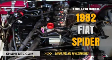 Fiat Spider Fuel Filter: Where is it Located?