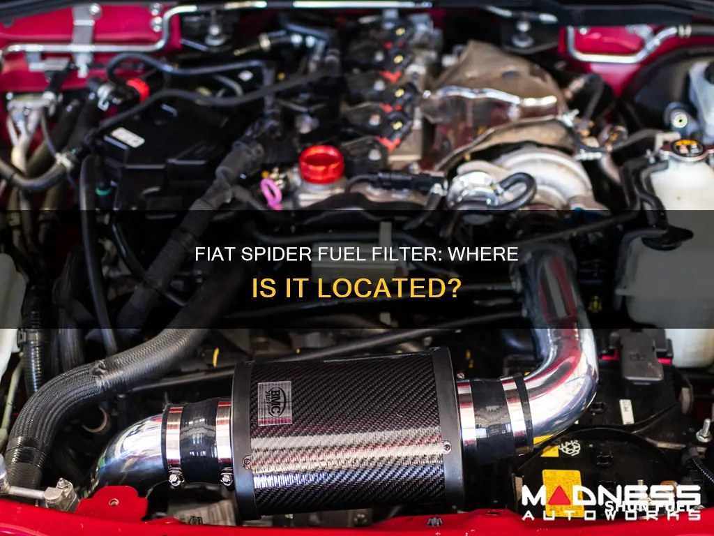where is fuel filter on 1982 fiat spider