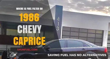 Locating the Fuel Filter in Your 1986 Chevy Caprice