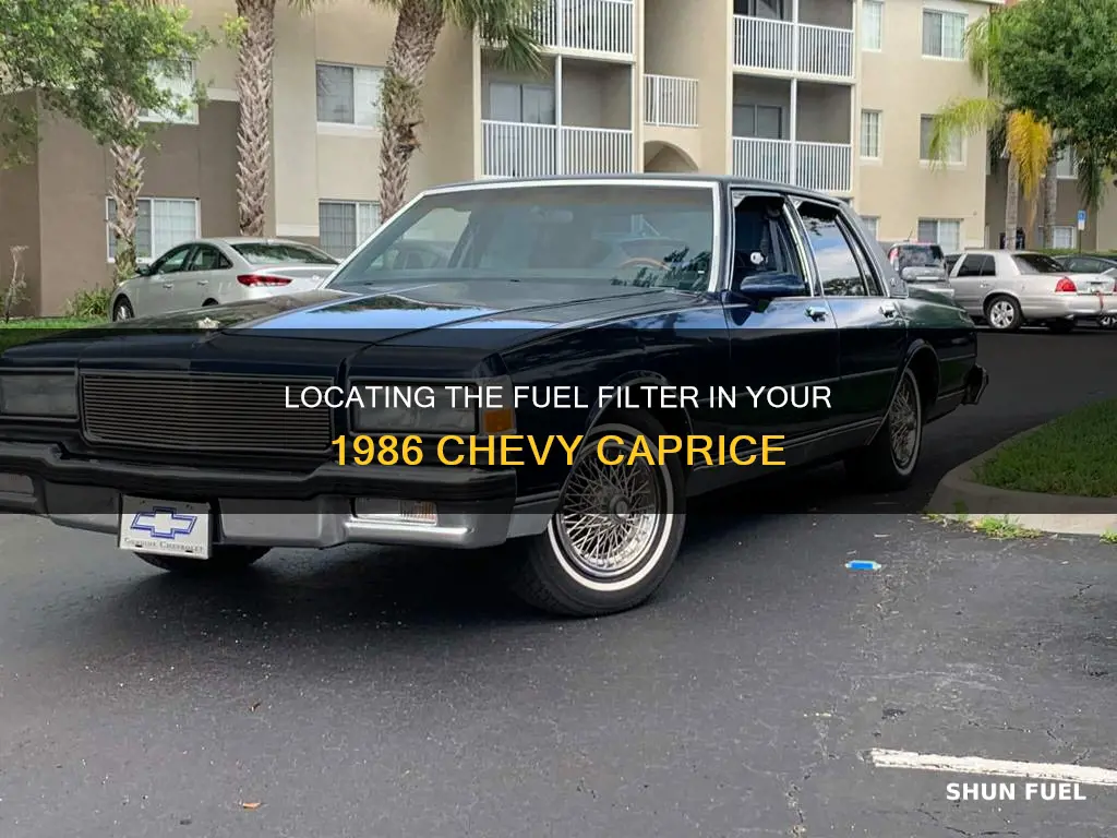 where is fuel filter on 1986 chevy caprice