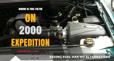 Ford Expedition: Locating the Fuel Filter
