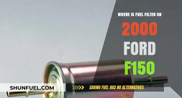 Locating the Fuel Filter in a 2000 Ford F150