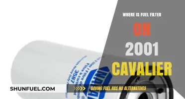Fuel Filter Location Guide for 2001 Cavalier