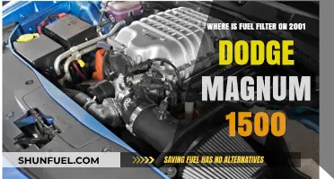 Locating the Fuel Filter in a 2001 Dodge Magnum 1500