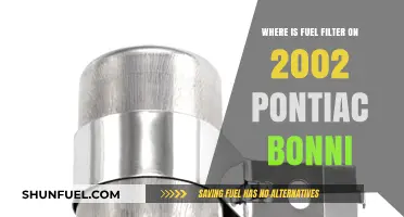 Pontiac Bonny 2002: Fuel Filter Location