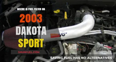 Locate the Fuel Filter in Your 2003 Dakota Sport