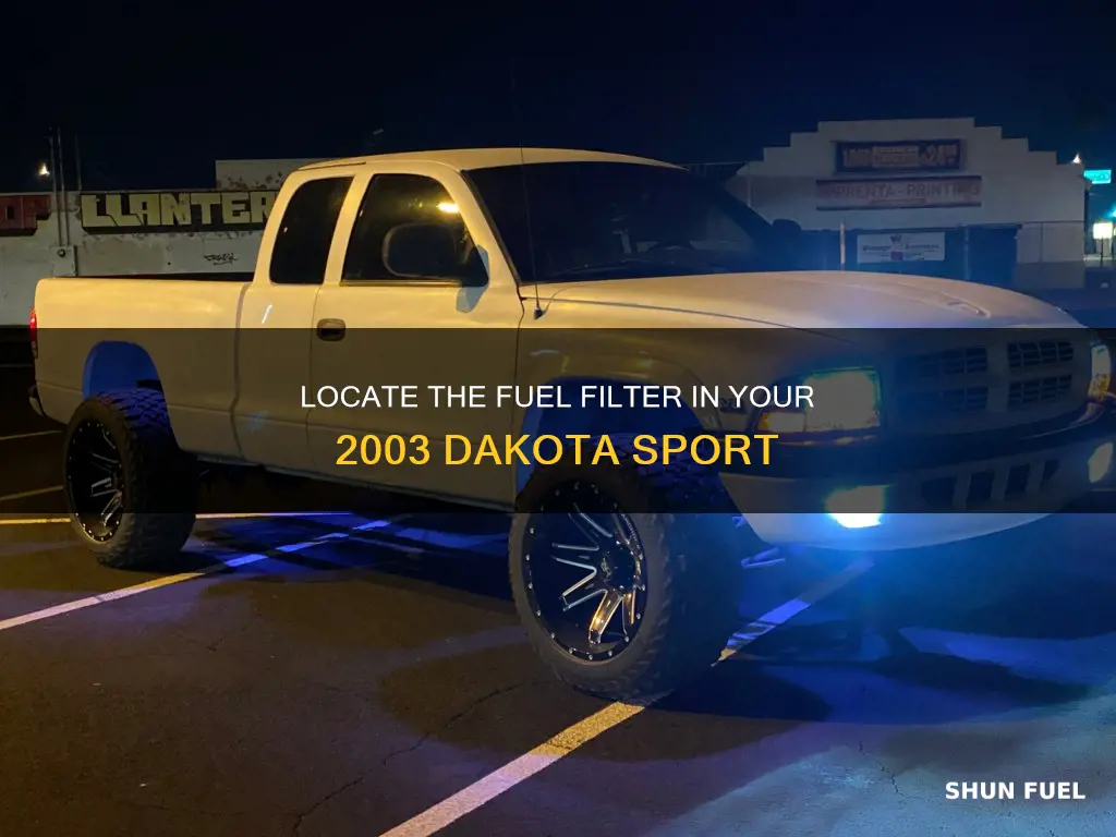 where is fuel filter on 2003 dakota sport