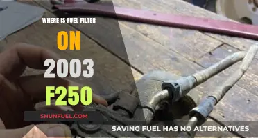 Locating the Fuel Filter in Your 2003 F250