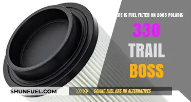 Polaris 330 Trail Boss: Locating the Fuel Filter