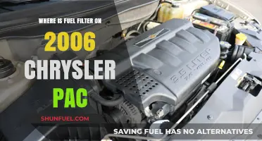 Chrysler Pacifica: Fuel Filter Location and Access