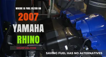 Locating the Fuel Filter in a 2007 Yamaha Rhino