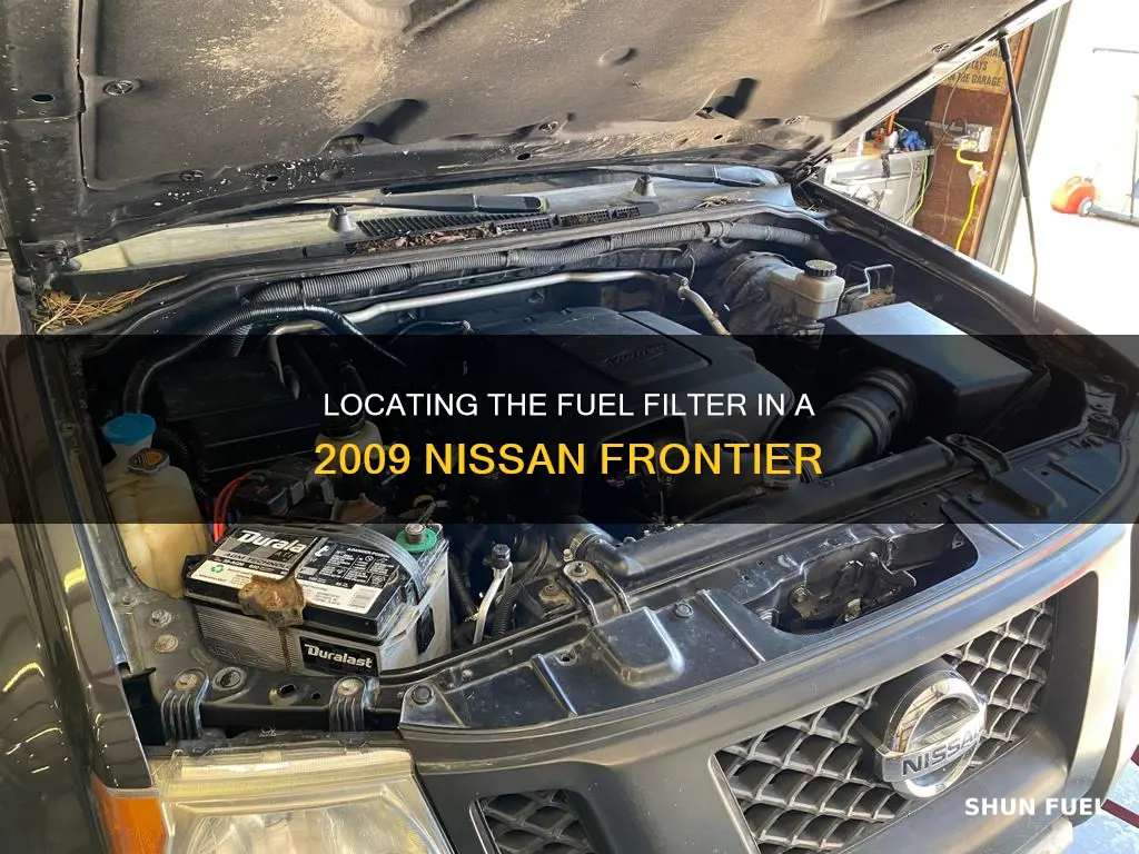 where is fuel filter on 2009 frontier