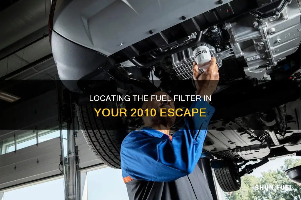 where is fuel filter on 2010 escape