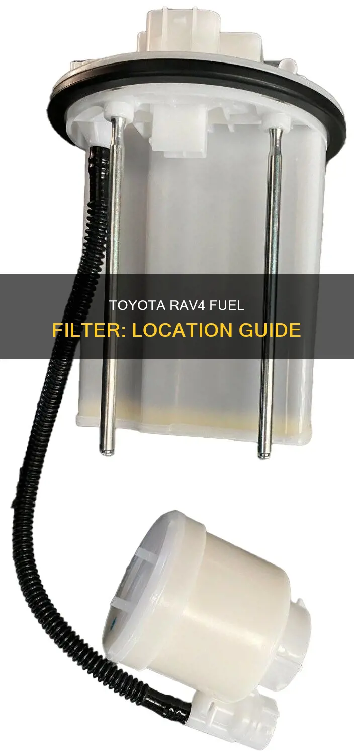 where is fuel filter on 2010 toyota rav
