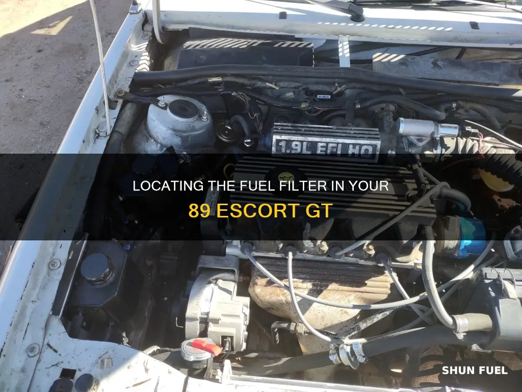 where is fuel filter on 89 escort gt