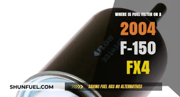Locating the Fuel Filter in a 2004 F-150 FX4