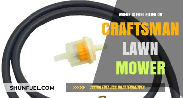 Locate the Fuel Filter on Your Craftsman Lawn Mower