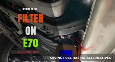 BMW E70 Fuel Filter: Location and Replacement Guide
