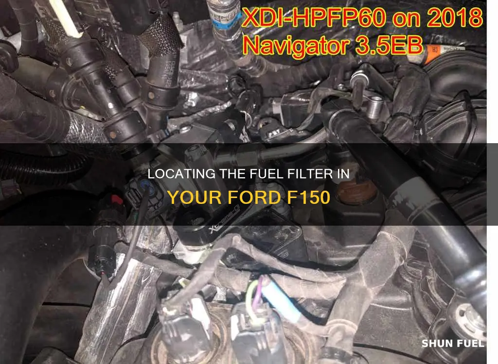 where is fuel filter on ford f150