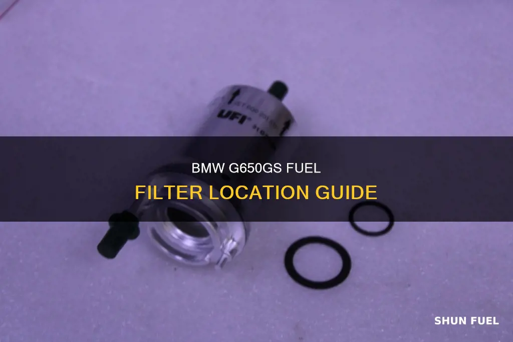 where is fuel filter on g650gs bmw