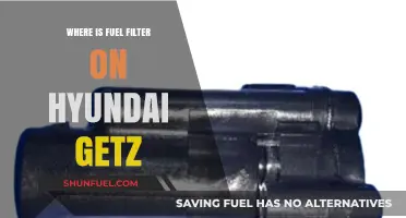 Hyundai Getz: Fuel Filter Location and Access