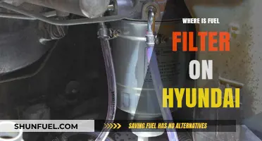 Hyundai Fuel Filter: Location and Access Guide