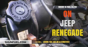 Jeep Renegade Fuel Filter: Location and Access Guide