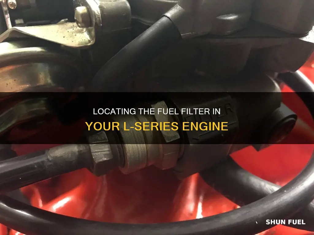 where is fuel filter on l
