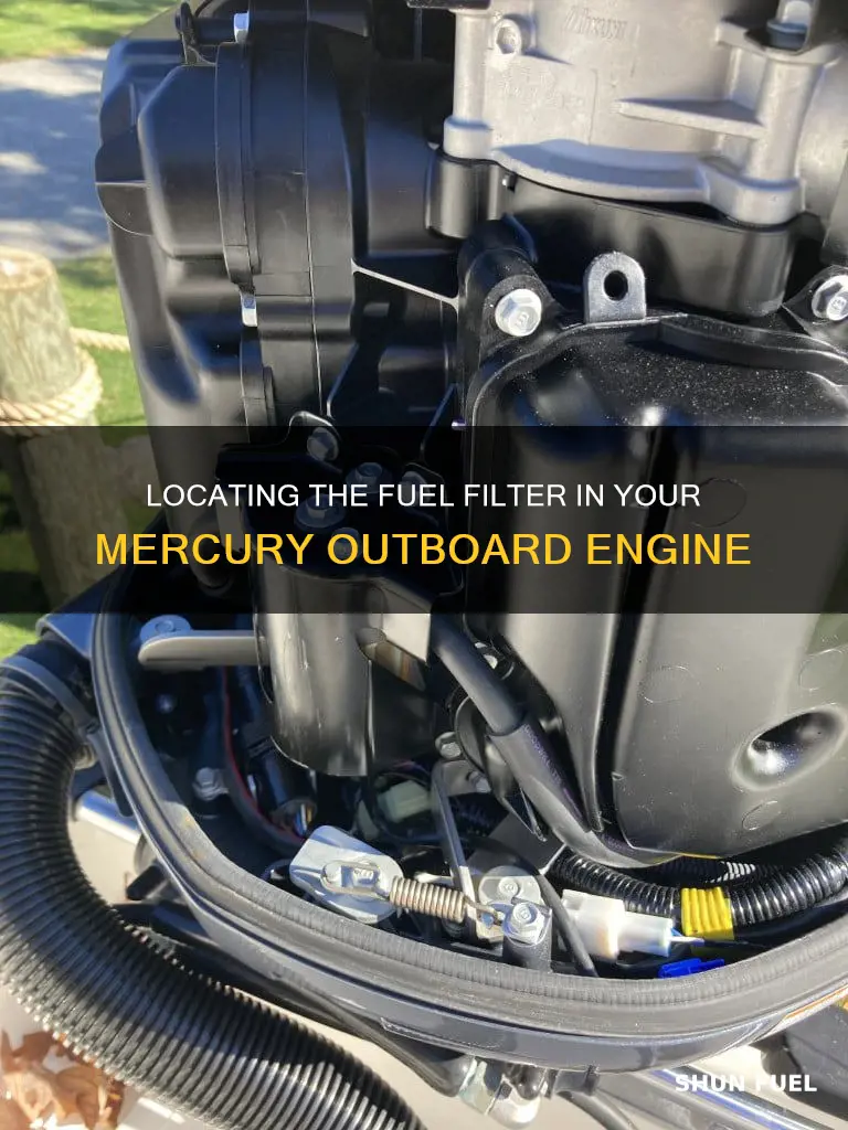 where is fuel filter on mercury outboard