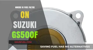 Suzuki GS500F: Locating the Fuel Filter