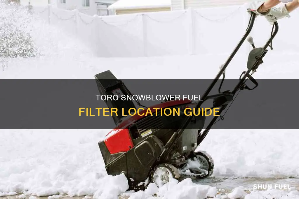 where is fuel filter on toro snowblower