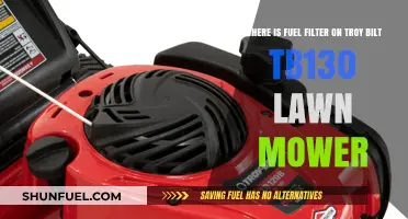 Troy-Bilt TB130: Locating the Fuel Filter