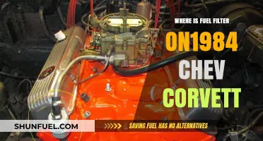 Fuel Filter Location Guide: 1984 Chevrolet Corvette