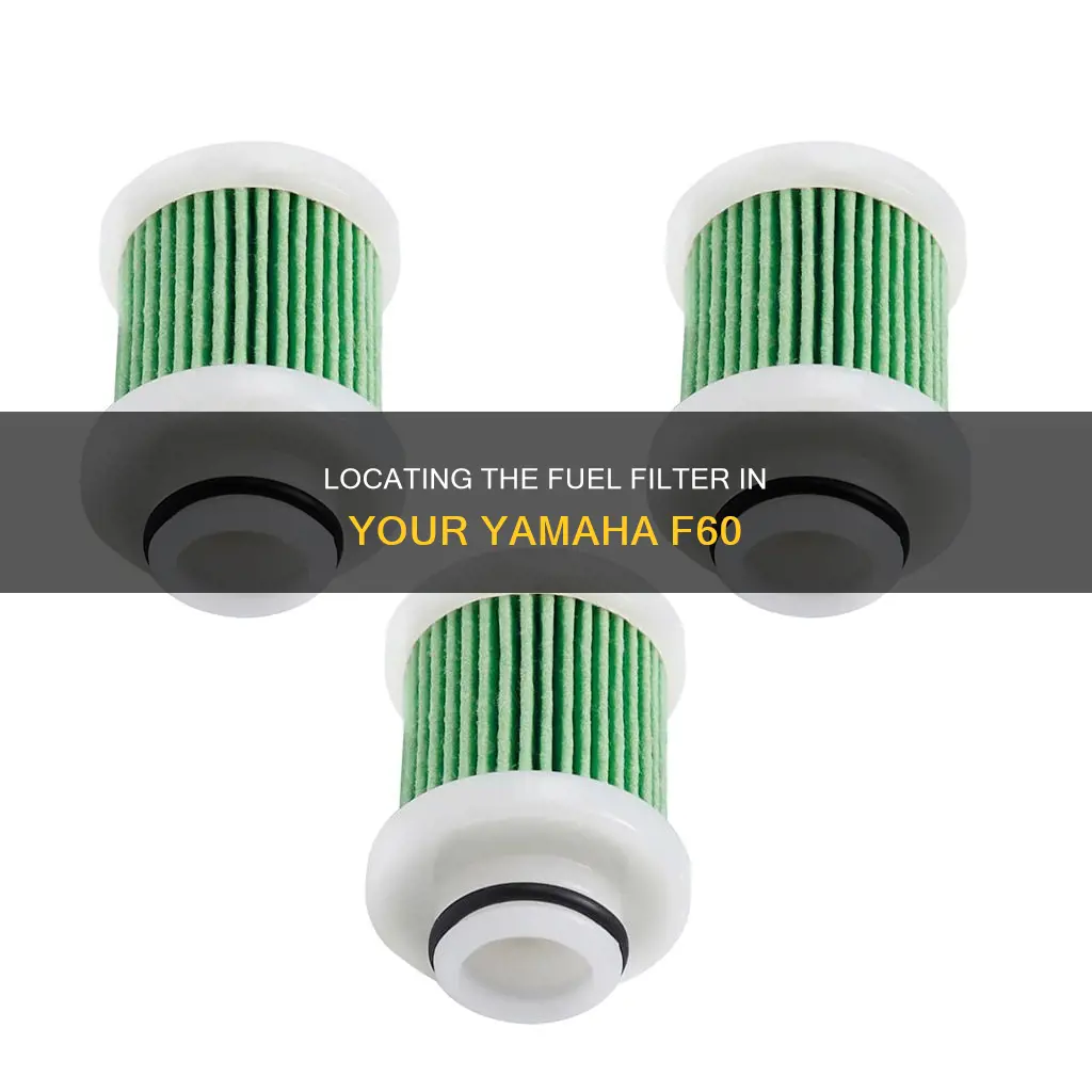 where is fuel filter yamaha f60