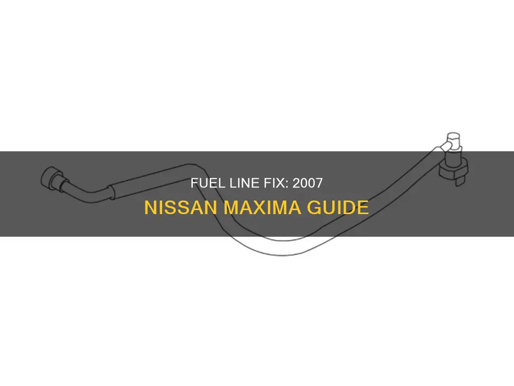 where is fuel line 2007 nissan maxima