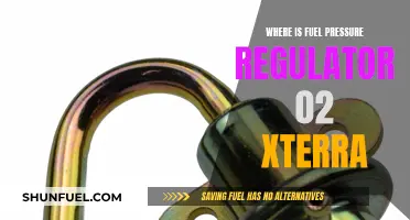 Xterra Fuel Pressure Regulator: Location and Access Guide