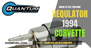 Finding the Fuel Pressure Regulator in a 1994 Corvette