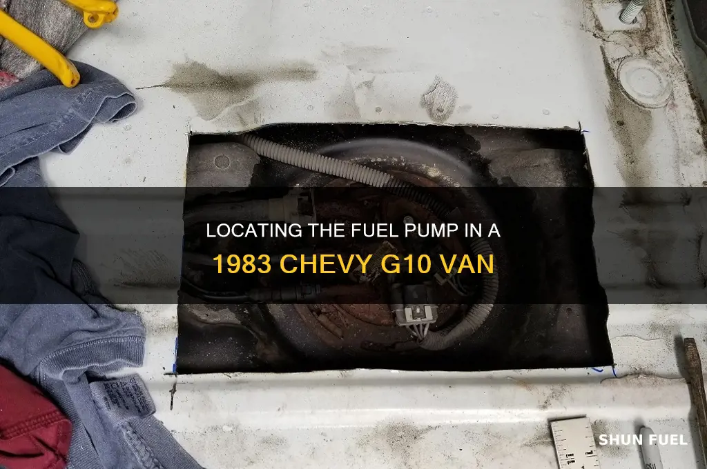 where is fuel pump 1983 chevy g10 van