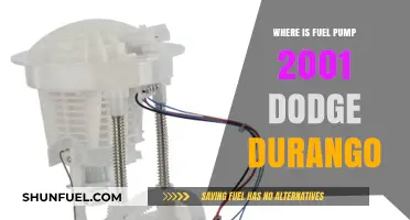 Locating the Fuel Pump in a 2001 Dodge Durango